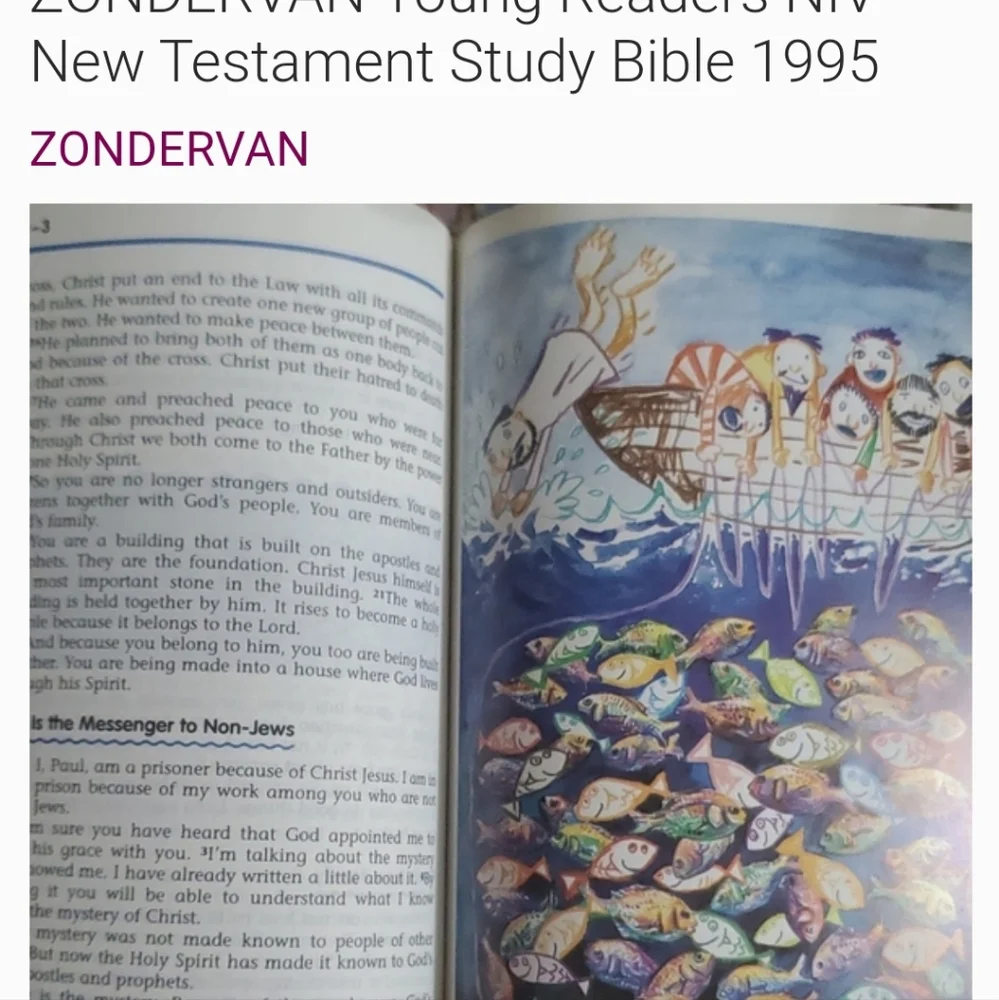 ZONDERVAN Young Readers NIV New Testament Study Bible 1995